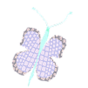 butterfly1